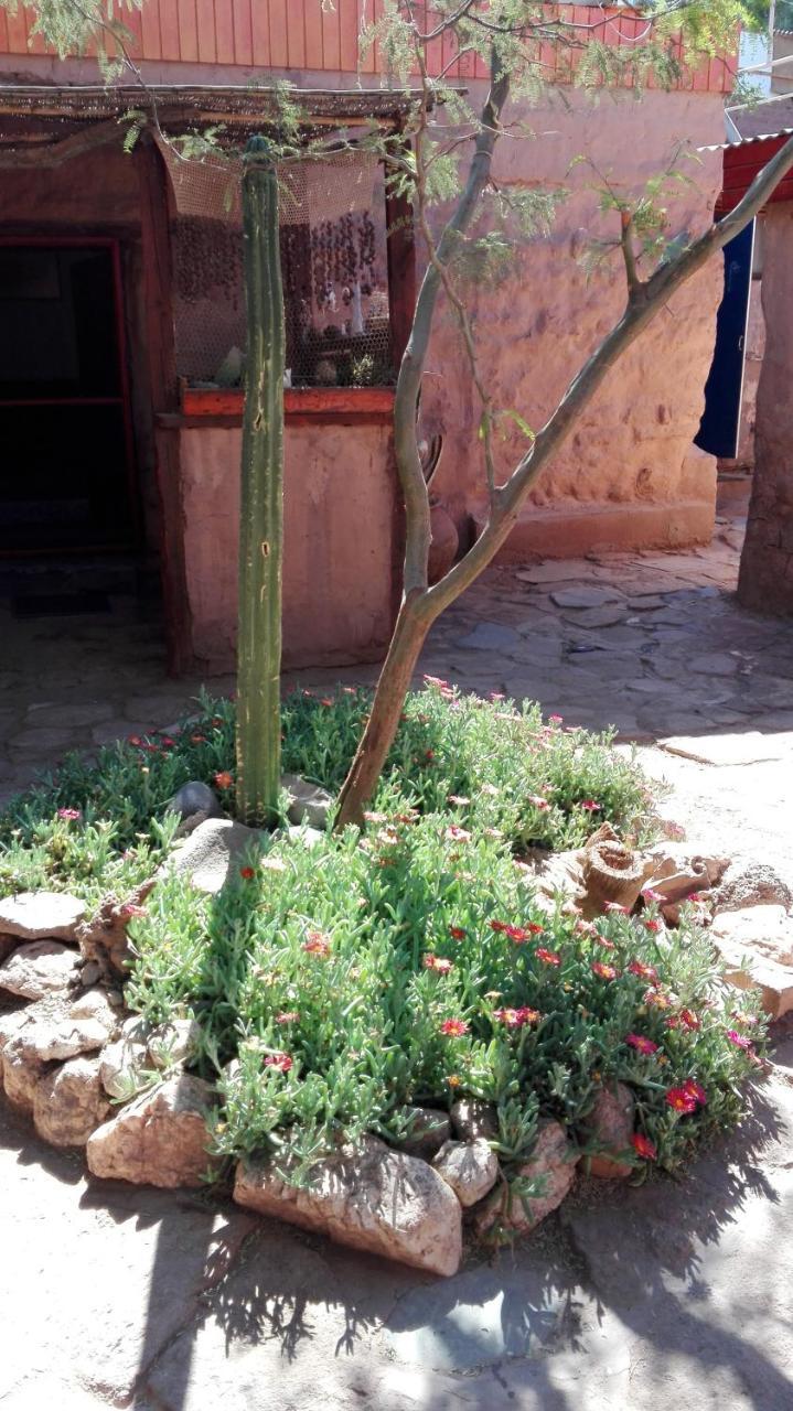 Hostal Sonchek Hostel San Pedro de Atacama Bagian luar foto